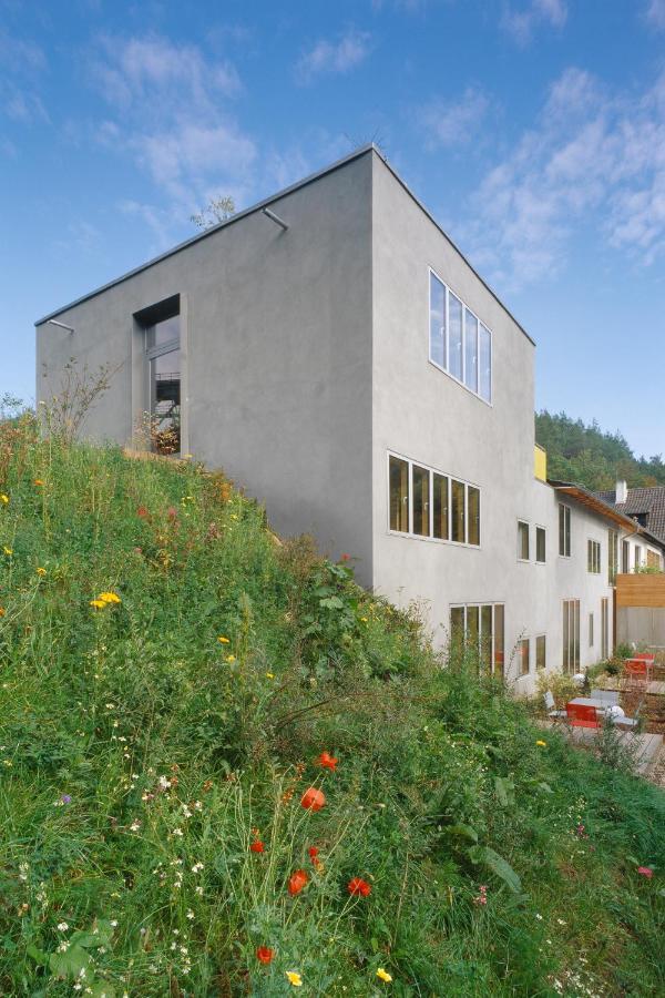 Seehaus Forelle Haeckenhaus Ramsen Ngoại thất bức ảnh